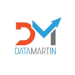 DataMartIn Logo