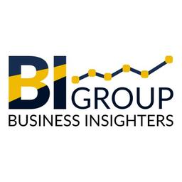 Business Insighters Group Logo