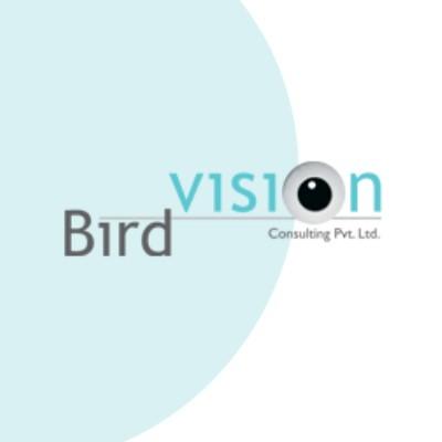 Birdvision Consulting's Logo