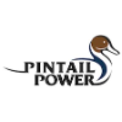 Pintail Power's Logo