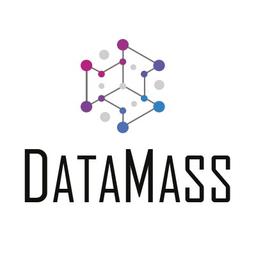 DataMass Logo
