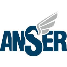 Anser Information Technologies Logo