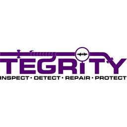 TEGRITY.LLC Logo