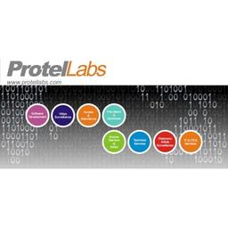 Protel Labs Logo
