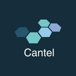 Cantel Computer Services Ltd Logo
