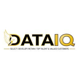 Data IQ LLC Logo