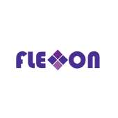 Flexxon's Logo