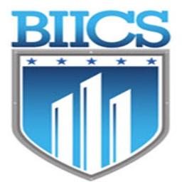 Business Intelligence & Informatics Consulting Services Inc. Logo