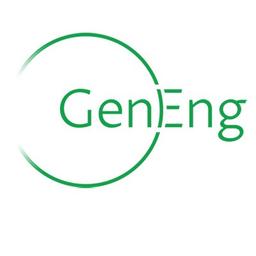 GenEng Solutions Pty Ltd Logo