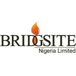 Bridgsite Nigeria Limited (BNL) Logo