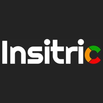 Insitric Marketing's Logo