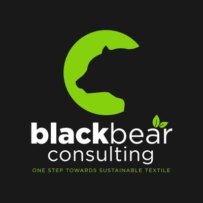 BlackBear Consulting's Logo