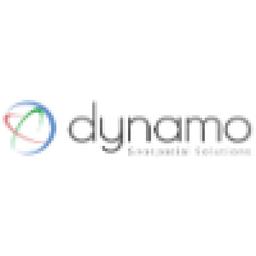 Dynamo Geospatial Solutions LLC Logo
