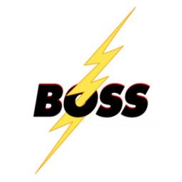 BOSS LTG Logo