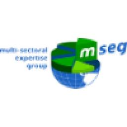MSEG- Multi-sectoral Expertise Group Inc Logo