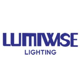 SHEN ZHEN LUMIWISE LIGHTING CO.LTD Logo