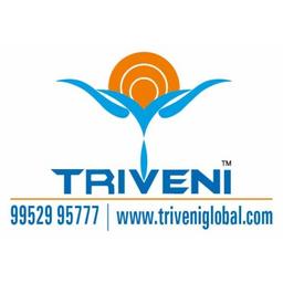 Triveni Global Private Limited India Logo