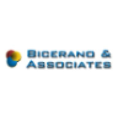 Bicerano & Associates Consulting Inc.'s Logo