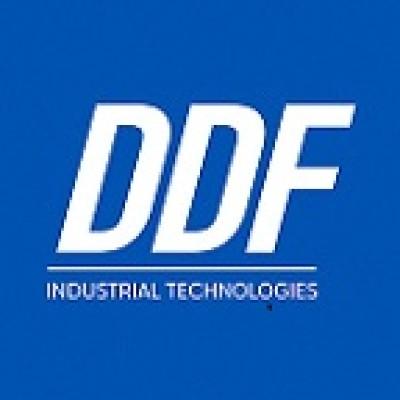 DDF-IT SRL's Logo
