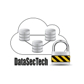 DataSecTech's Logo