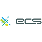Electronic Cash Systems Logo