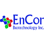 EnCor Biotechnology's Logo