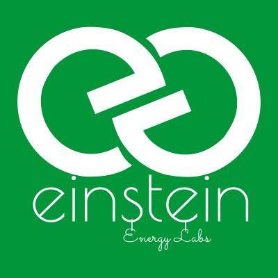 EINSTEIN ENERGY LABS PRIVATE LIMITED's Logo