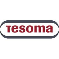 Tesoma GmbH's Logo