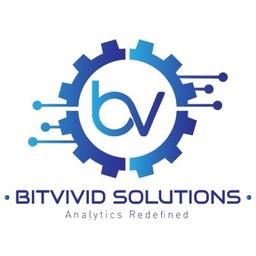 Bitvivid Solutions Logo