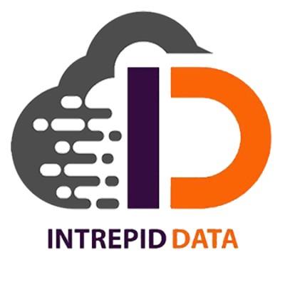 Intrepid Data LLC.'s Logo