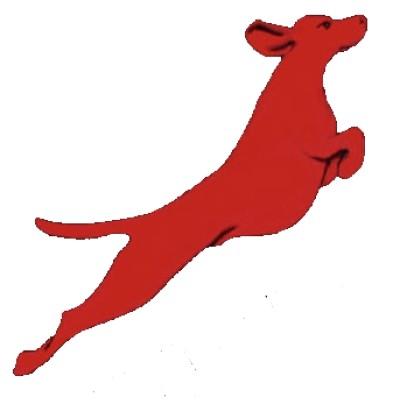 Red Dog Aerial Media LLC's Logo