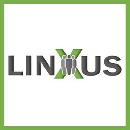 Linxus Group Inc. Logo