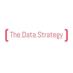 The Data Strategy Logo