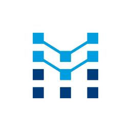 MegaMind Tech Logo