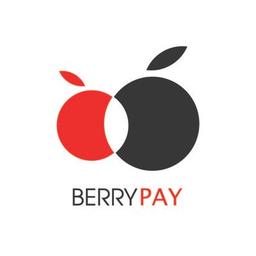 BerryPay Group Logo