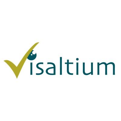 Visaltium's Logo