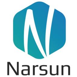 Narsun Studios Logo