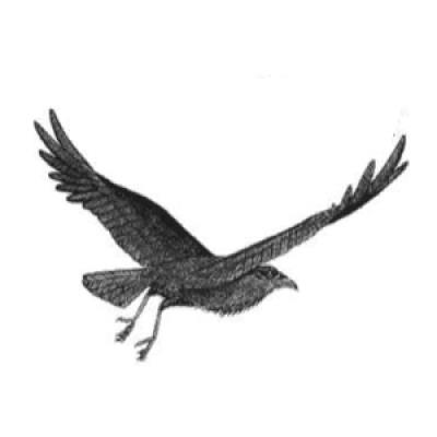 Raven Ridge Resources Incorporated's Logo