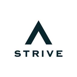 Strive by Vertis Logo