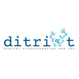 DITRIOT Consulting Logo