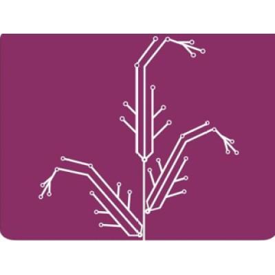 Amaranth Medical Analytics's Logo