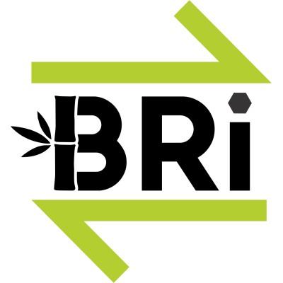 Bio-Restorative Ideas LLC's Logo