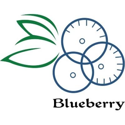 Blueberry Facilities Management's Logo