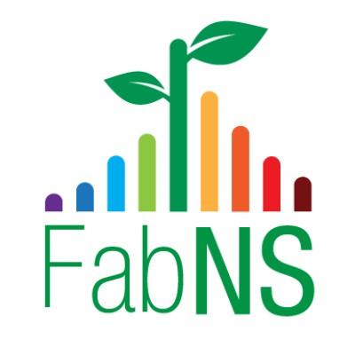 FabNS's Logo