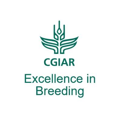 CGIAR Excellence in Breeding's Logo