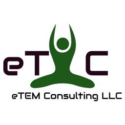 eTEM consulting LLC Logo
