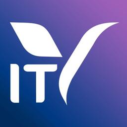 ITValue Consulting Logo