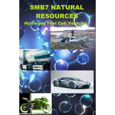 SMB7 NATURAL RESOURCES Hydrogen Fuel Cell Powered Vehicles's Logo