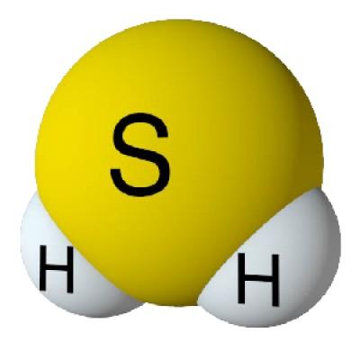 Online Hydrogen Sulfide (H2S)Training's Logo