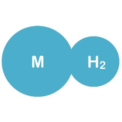 Micro Hydrogen Inc's Logo